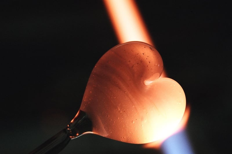 Culinary Fusion Fusion